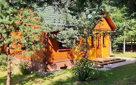 Pod Dębem Bis